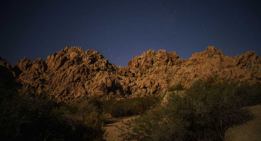 Shrubs appear before large rocky formations, which are illuminated by a dark blue, starry sky.